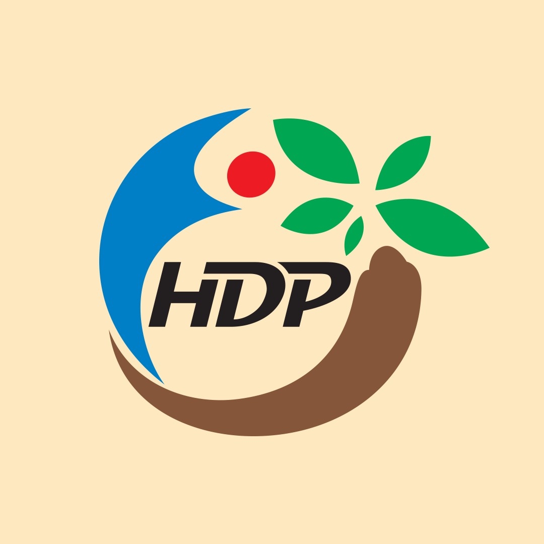 Logo HỘ KINH DOANH ĐẠI LÝ SẤM TƯƠI LINH CHI HÀN QUỐC