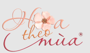 Logo Công ty TNHH Hoa Theo Mùa