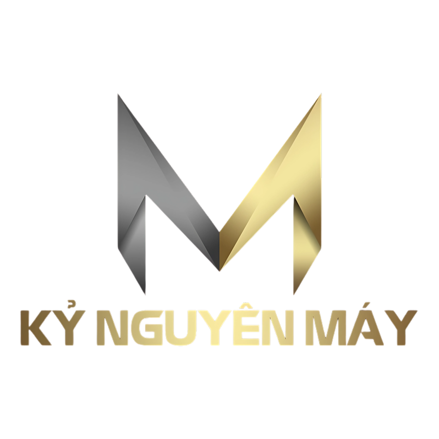 Logo Công ty Cổ phần Dịch vụ Thương mại Tổng hợp Đức Thiện