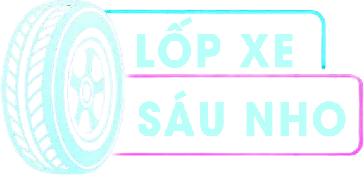 Logo CÔNG TY TNHH SÁU NHO