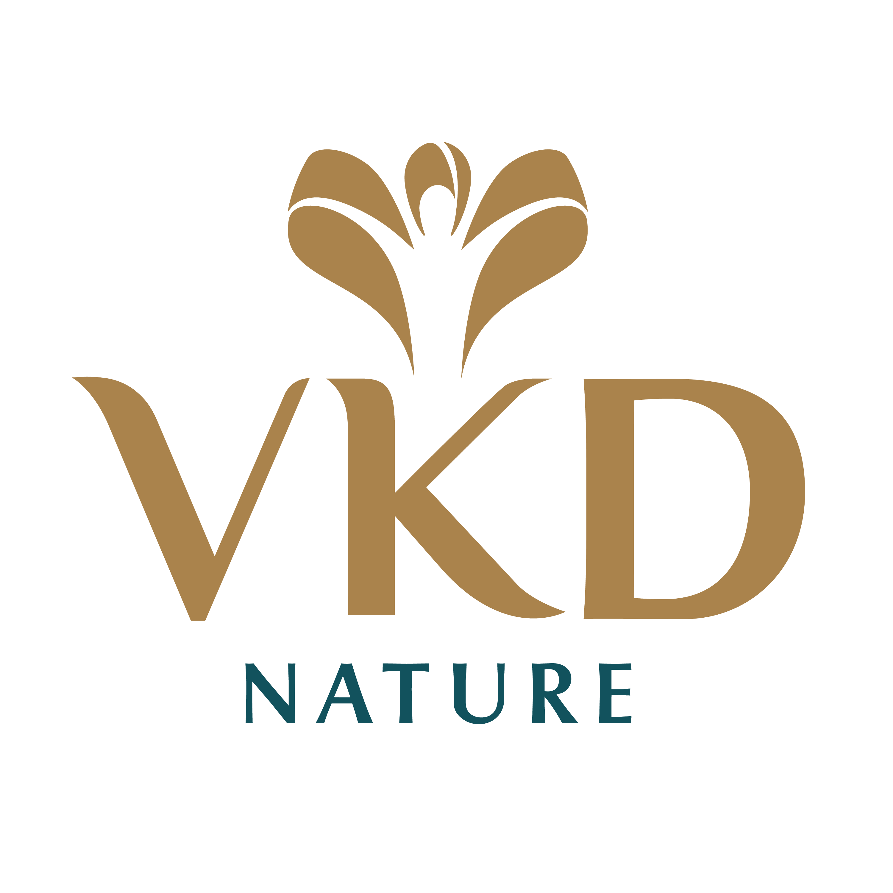Logo CÔNG TY CỔ PHẦN TẬP ĐOÀN Y DƯỢC SÂM NGỌC LINH VIỆT NAM