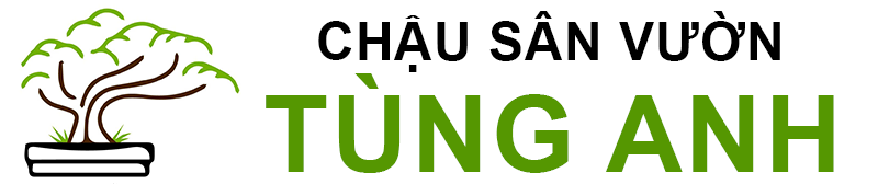 Logo CÔNG TY TNHH CẢNH QUAN XANH TÙNG ANH