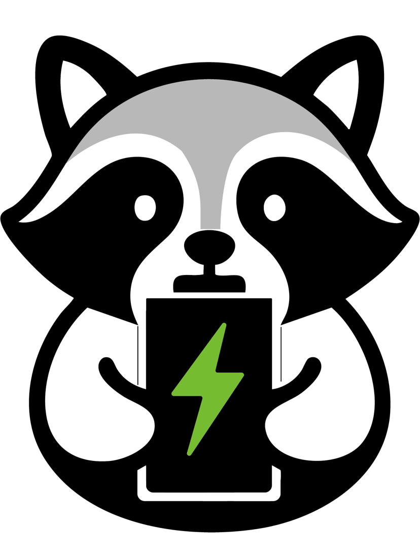 Logo CÔNG TY TNHH RACOON PIN