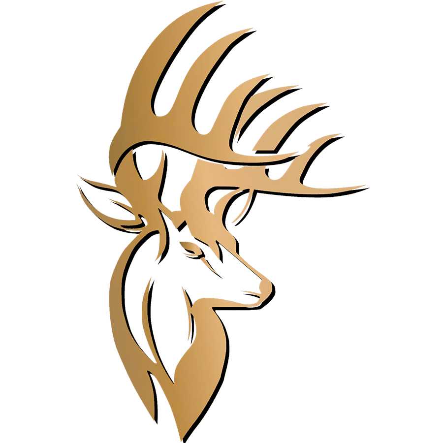 Logo CÔNG TY TNHH THE LINN GROUP