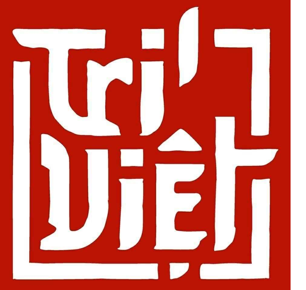Logo Công ty TNHH Thương mại - Sản xuất - Xuất nhập khẩu Trí Việt