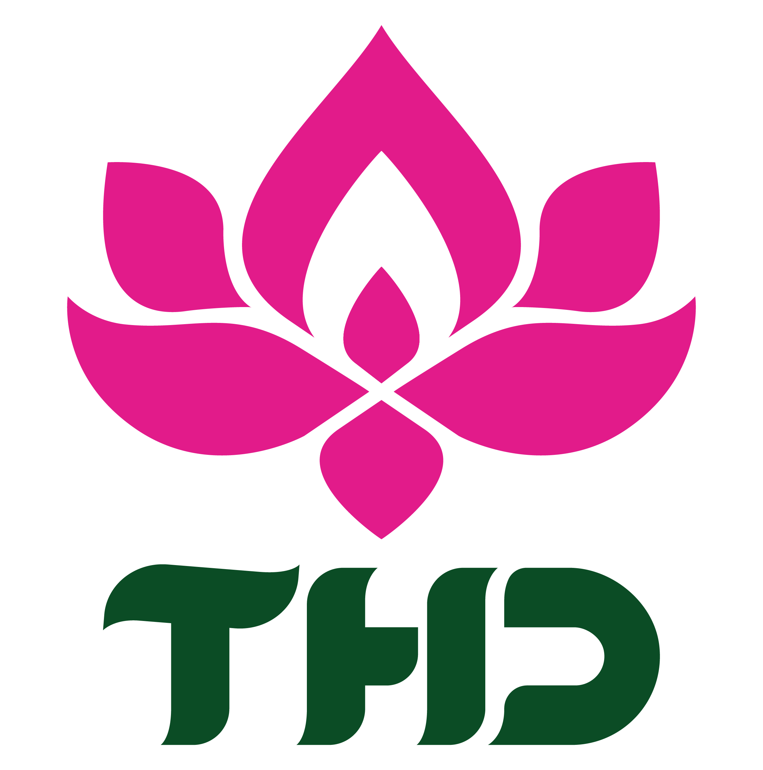 Logo Công ty TNHH Tâm Hữu Dũng