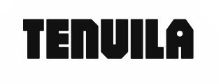 Logo CÔNG TY TNHH TENVILAVAN
