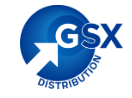 Logo CÔNG TY TNHH PHÂN PHỐI GSX