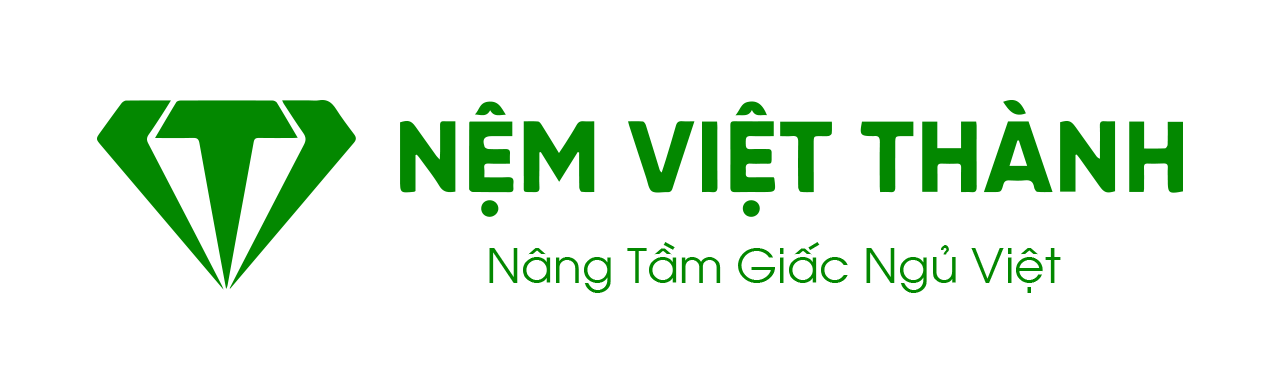 Logo CÔNG TY TNHH NỆM VIỆT THÀNH