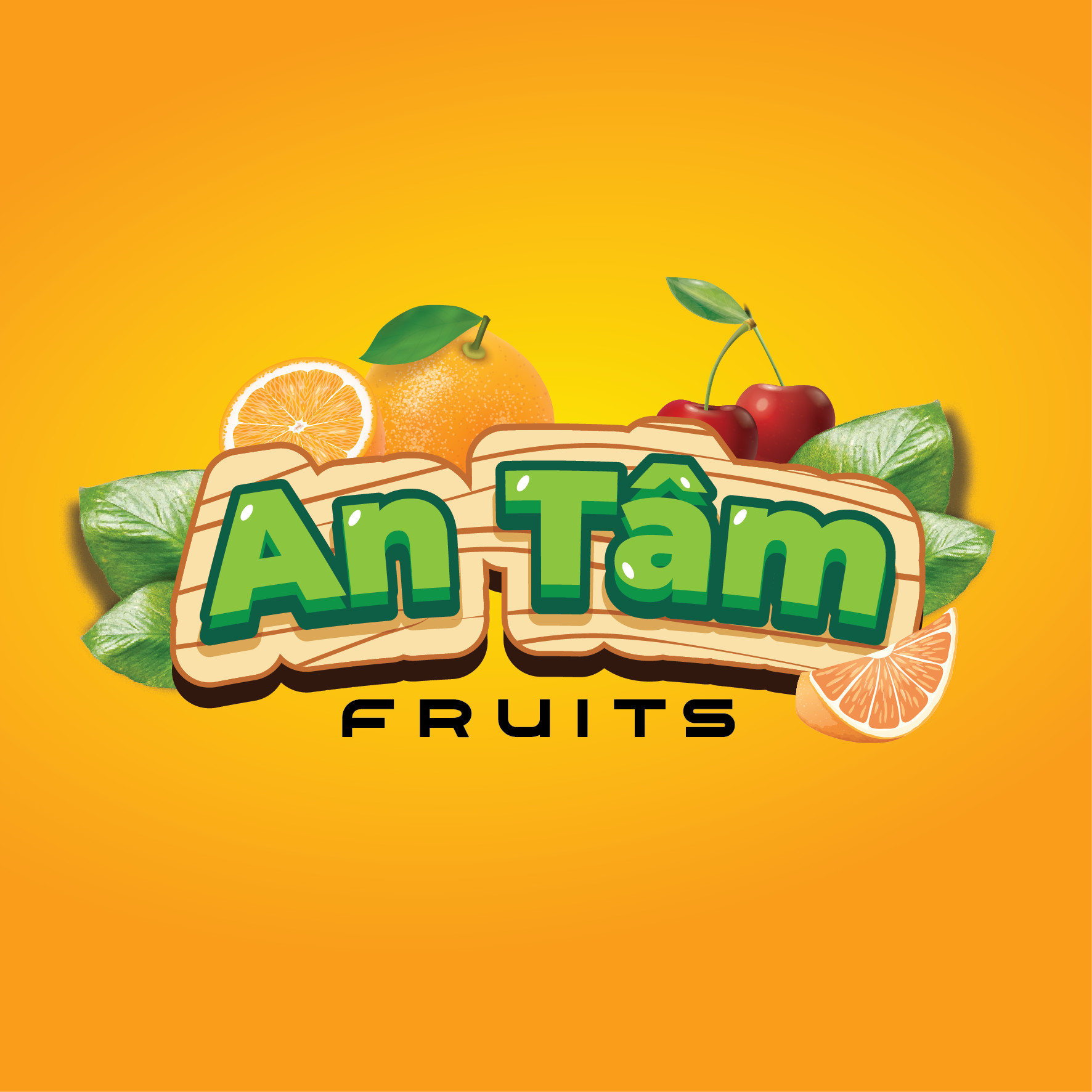 Logo HỘ KINH DOANH NGUYỄN THỊ THÚY VÂN - AN TÂM FRUITS